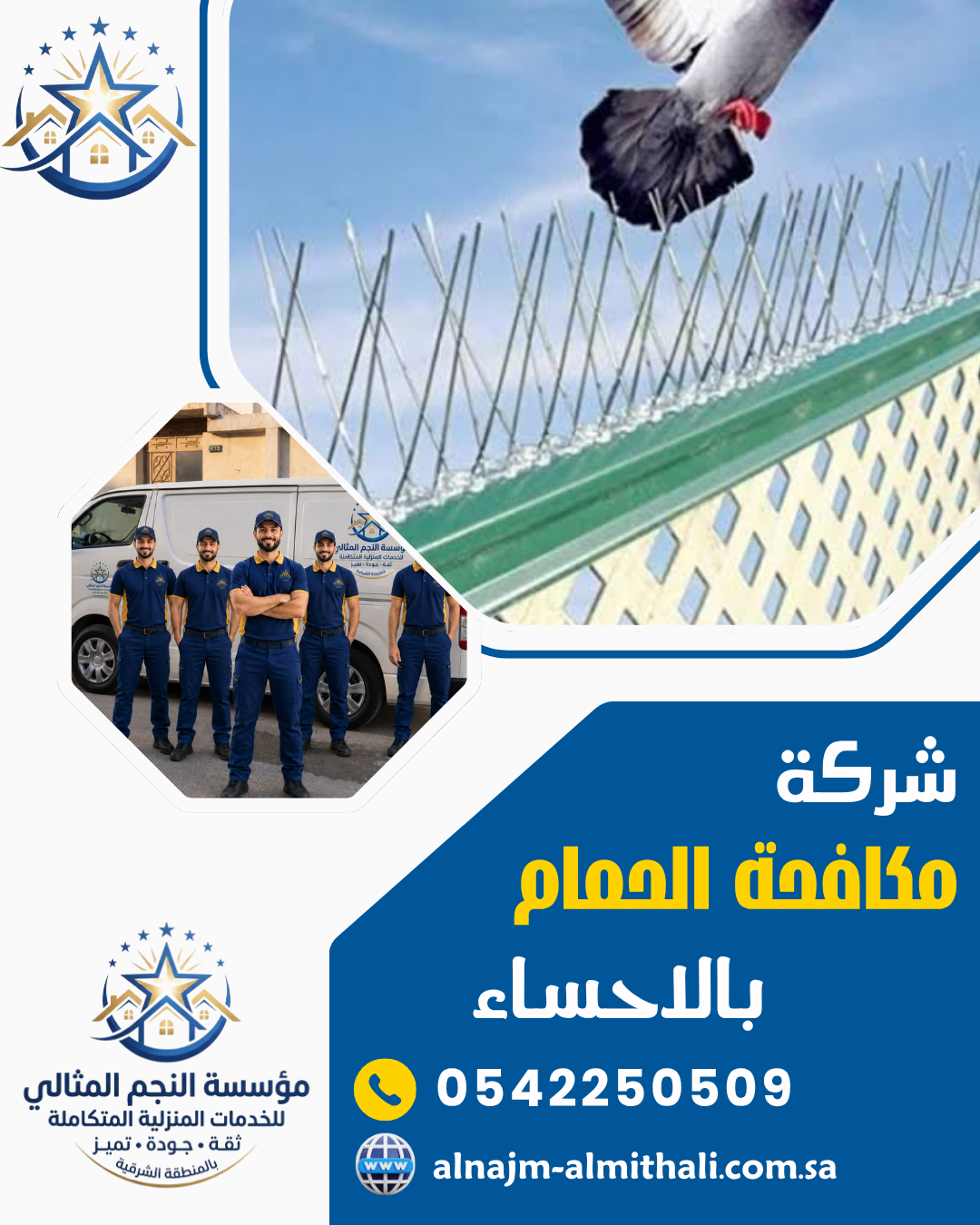 شركة مكافحة الحمام بالاحساء