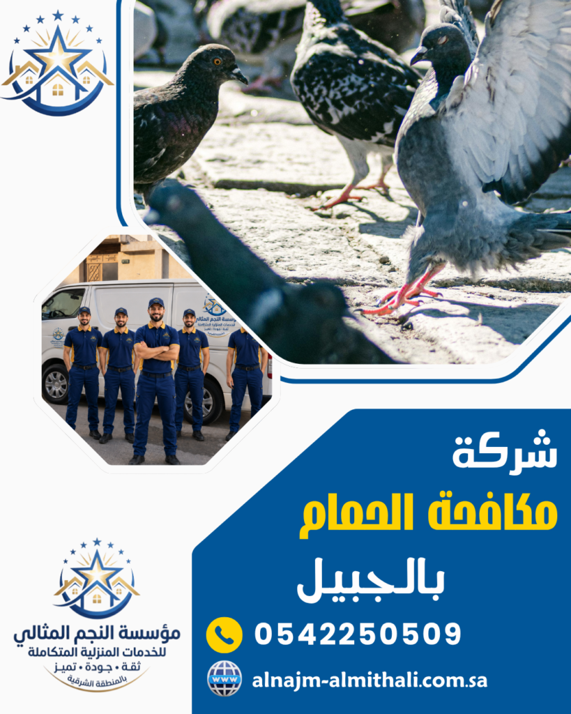 مكافحة حشرات — شركة مكافحة الحمام بالجبيل 0542250509 تركيب طارد الحمام والشبك