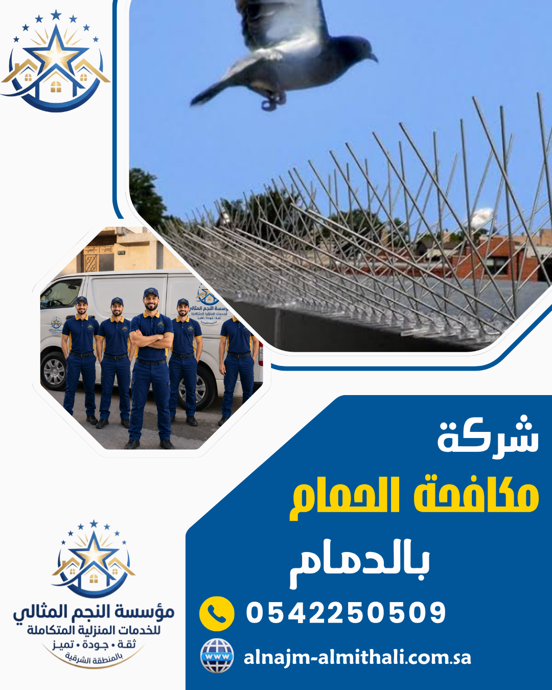 شركة مكافحة الحمام بالدمام