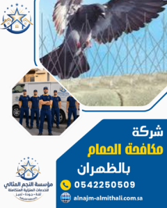 شركة مكافحة الحمام بالظهران شركة مكافحة الحمام بالظهران