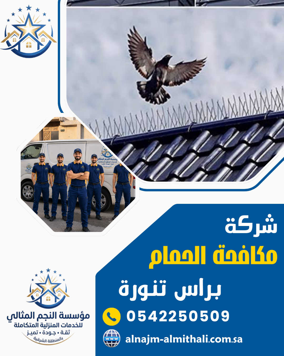 شركة مكافحة الحمام براس تنورة