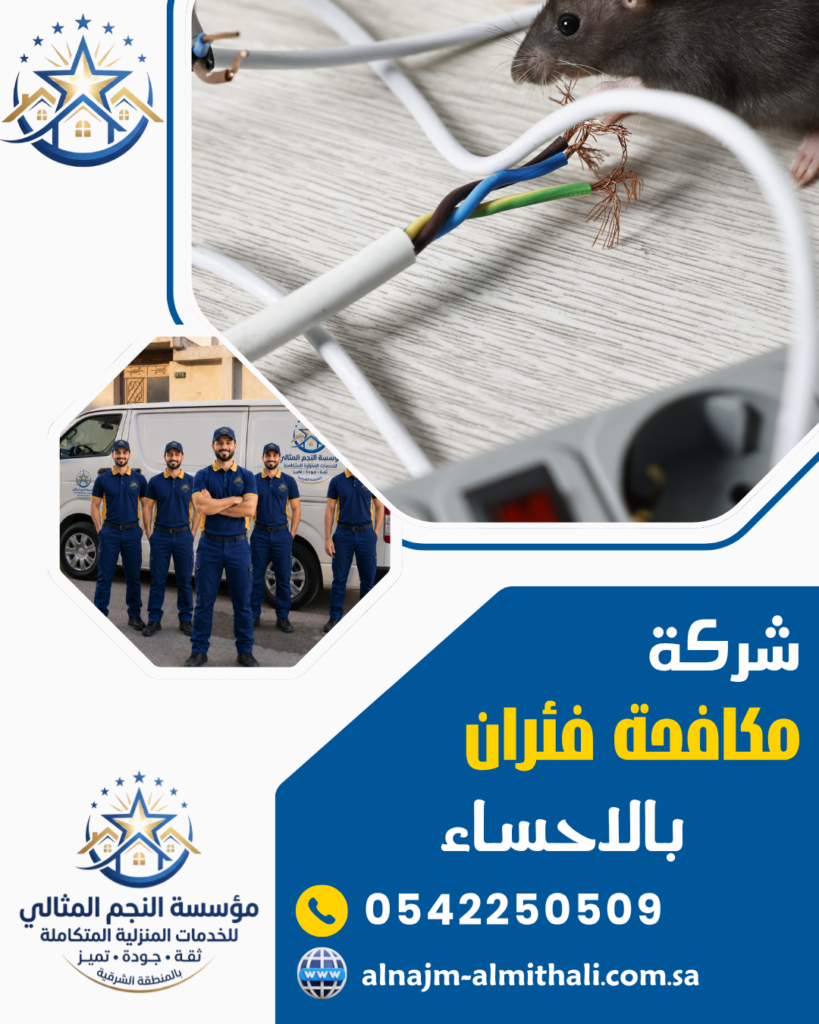 شركة مكافحة الفئران بالاحساء شركة مكافحة الفئران بالاحساء