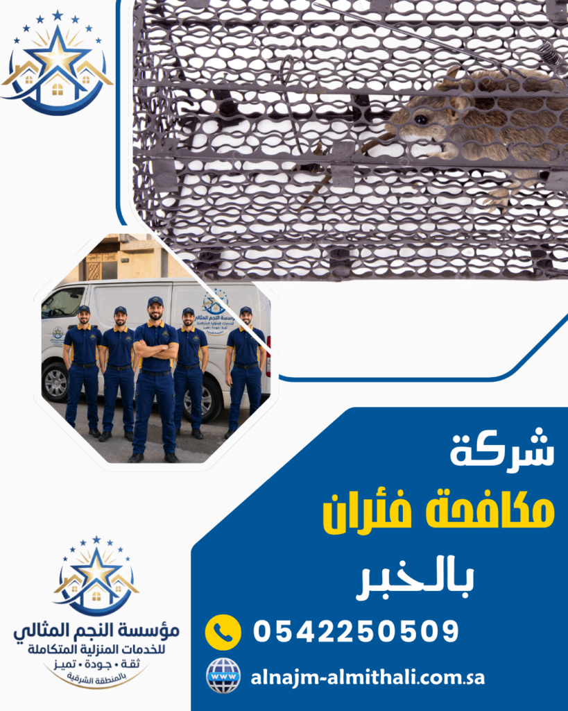 شركة مكافحة الفئران بالخبر شركة مكافحة الفئران بالخبر