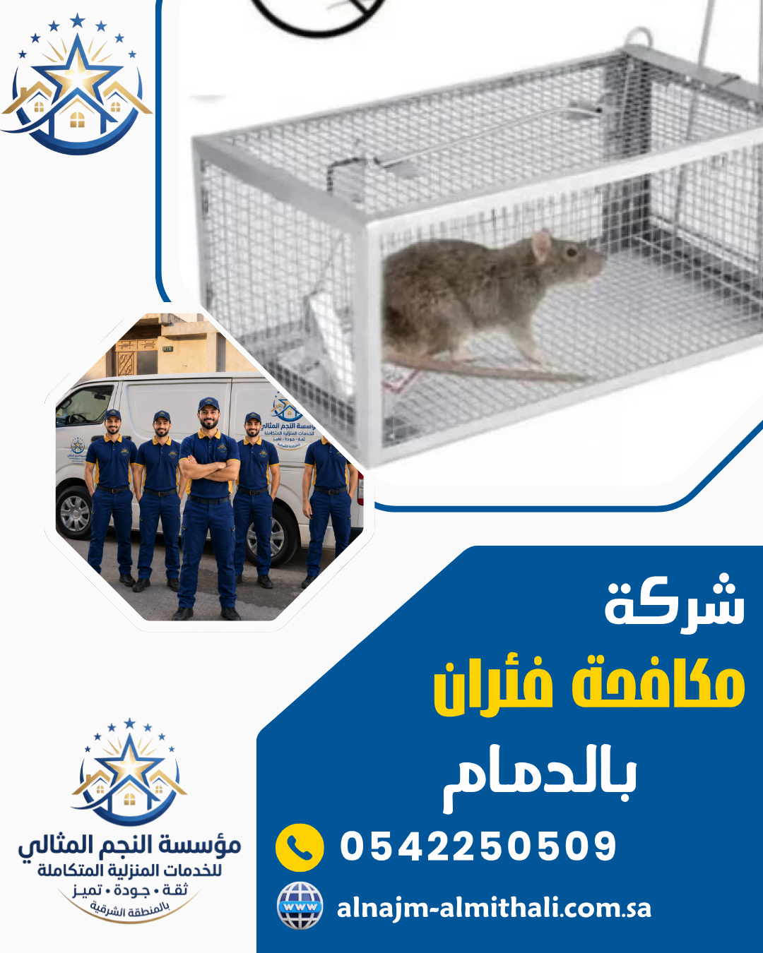شركة مكافحة الفئران بالدمام