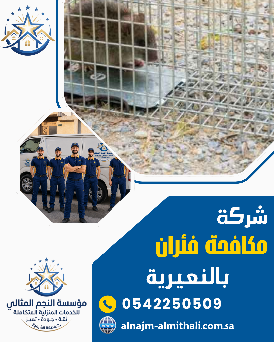 شركة مكافحة الفئران بالنعيرية
