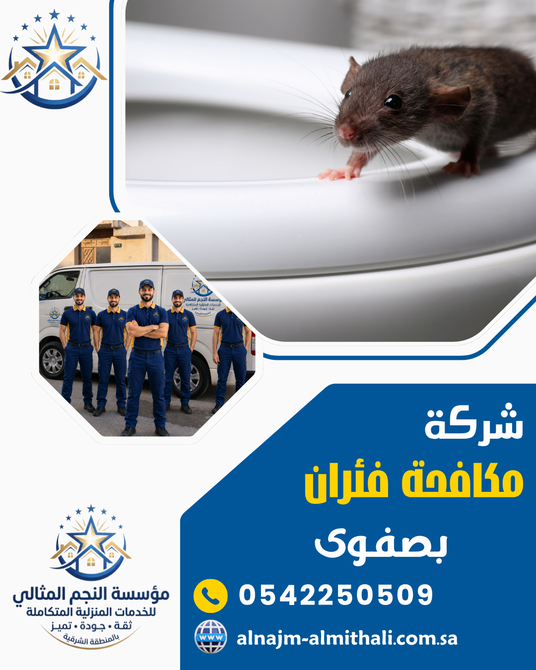 شركة مكافحة الفئران بصفوى