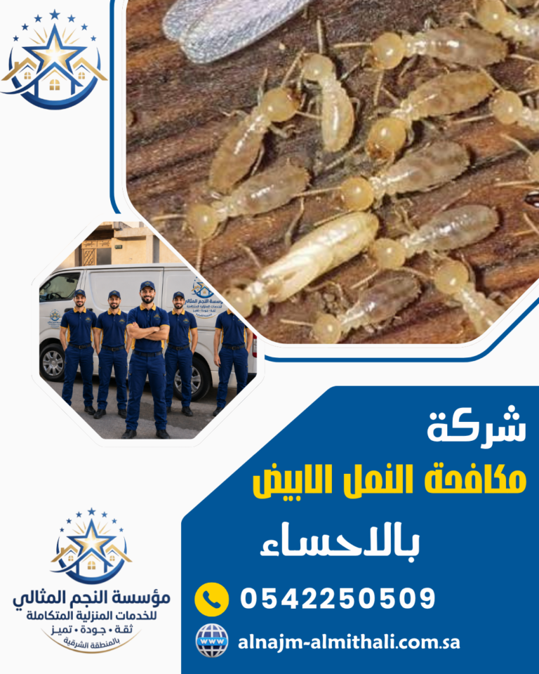 شركة مكافحة النمل الابيض بالاحساء 0542250509 إبادة فورية بضمان