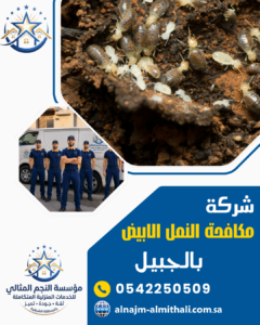 شركة مكافحة النمل الابيض بالجبيل شركة مكافحة النمل الابيض بالجبيل