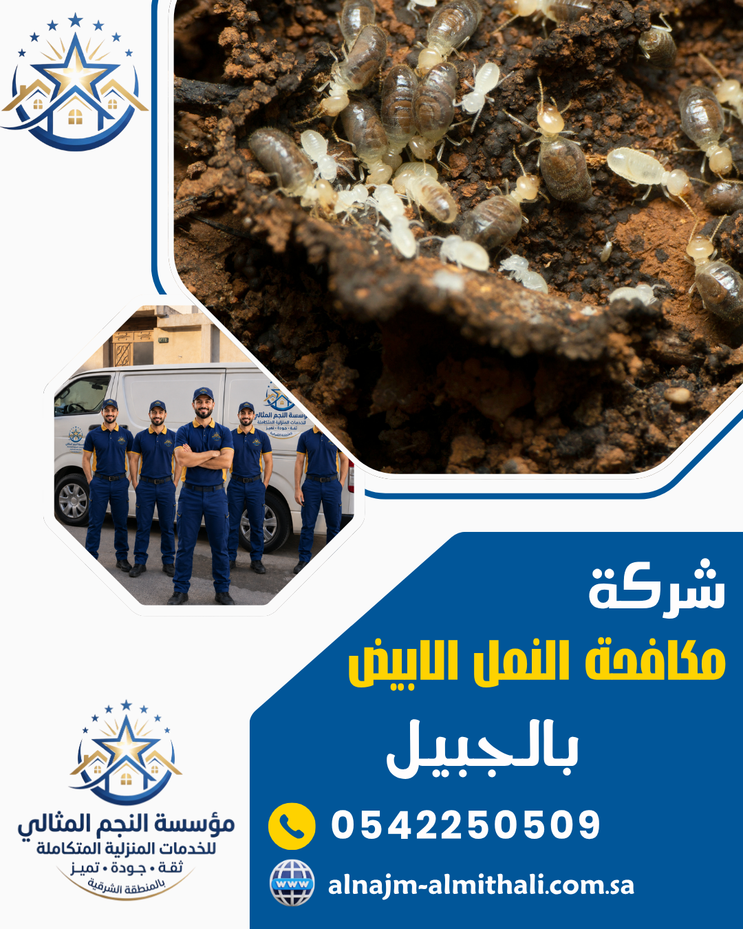 شركة مكافحة النمل الابيض بالجبيل