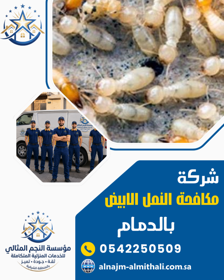 شركة مكافحة النمل الابيض بالدمام 0542250509 رش الدفان
