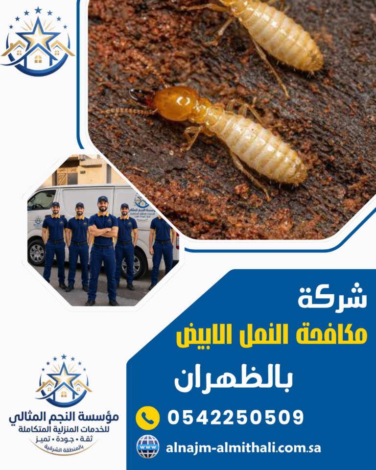 شركة مكافحة النمل الابيض بالظهران 0542250509 النجم المثالي