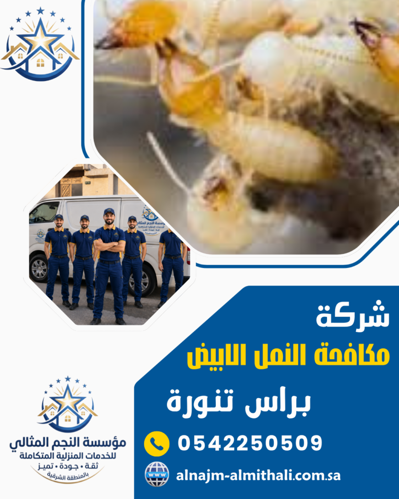 مكافحة حشرات — شركة مكافحة النمل الابيض براس تنورة 0542250509 النجم المثالي