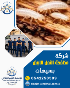 شركة مكافحة النمل الابيض بسيهات شركة مكافحة النمل الابيض بسيهات