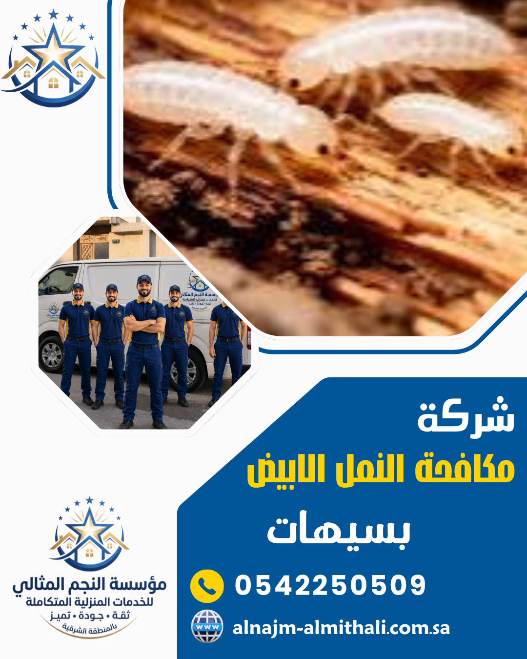 شركة مكافحة النمل الابيض بسيهات