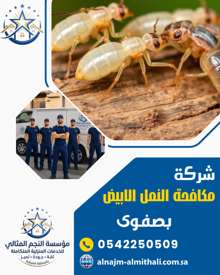 شركة مكافحة النمل الابيض بصفوى 0542250509 رش الدفان