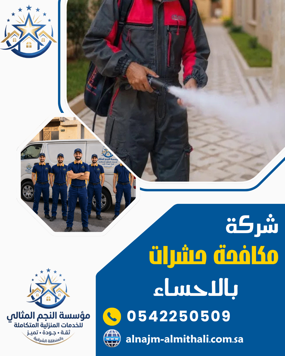 شركة مكافحة حشرات بالاحساء