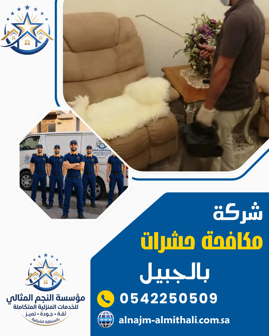 شركة مكافحة حشرات بالجبيل