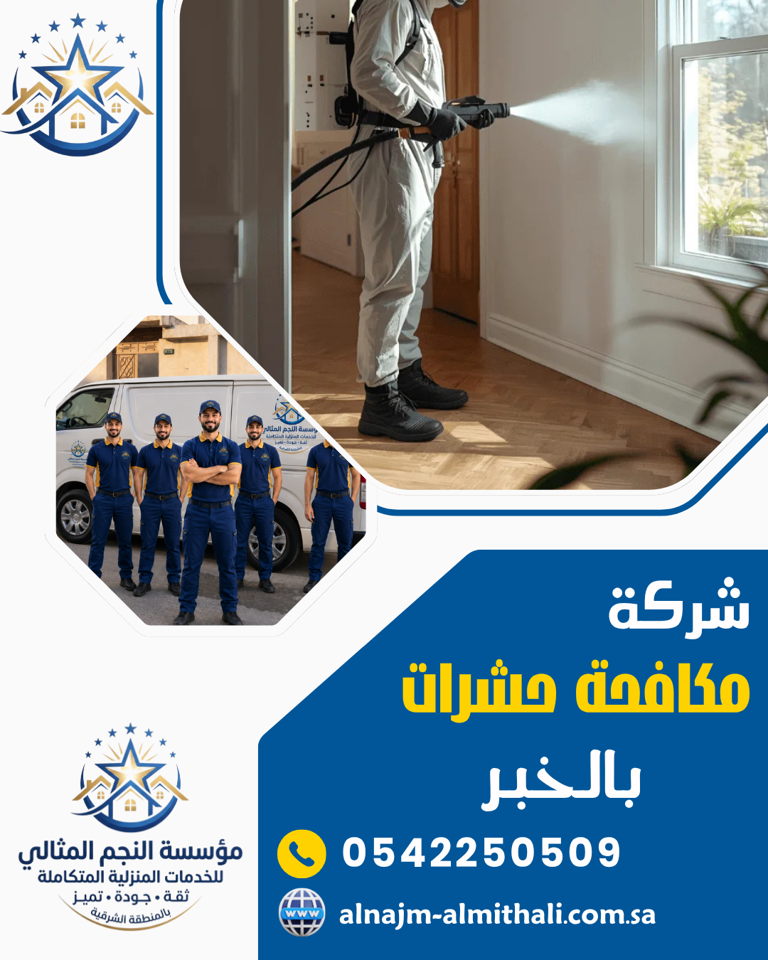 شركة مكافحة حشرات بالخبر