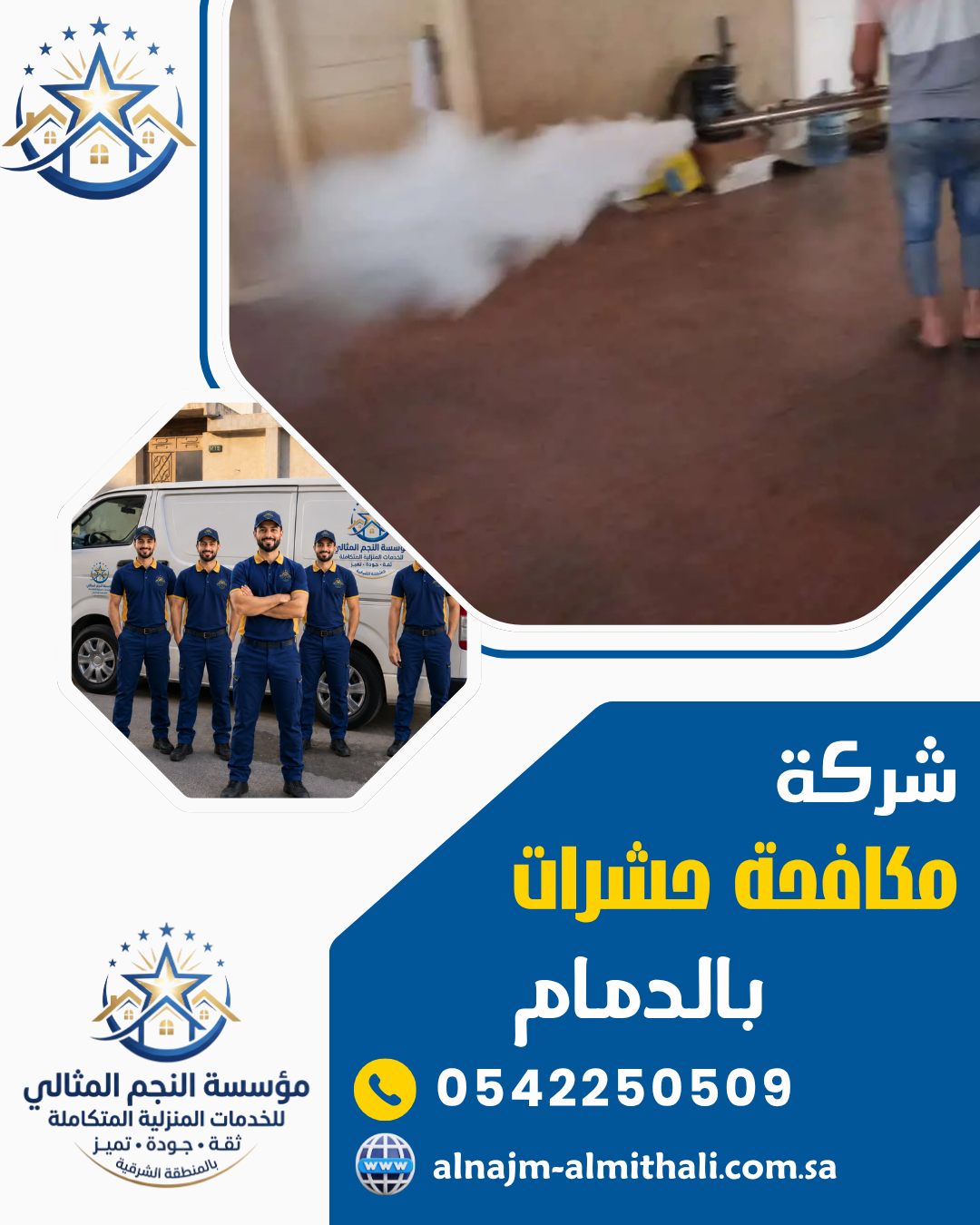 شركة مكافحة حشرات بالدمام