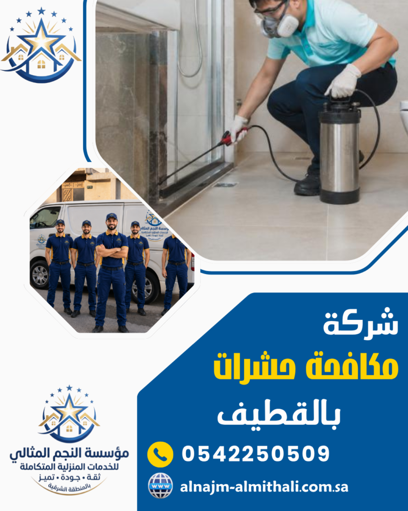 شركة مكافحة حشرات بالقطيف شركة مكافحة حشرات بالقطيف