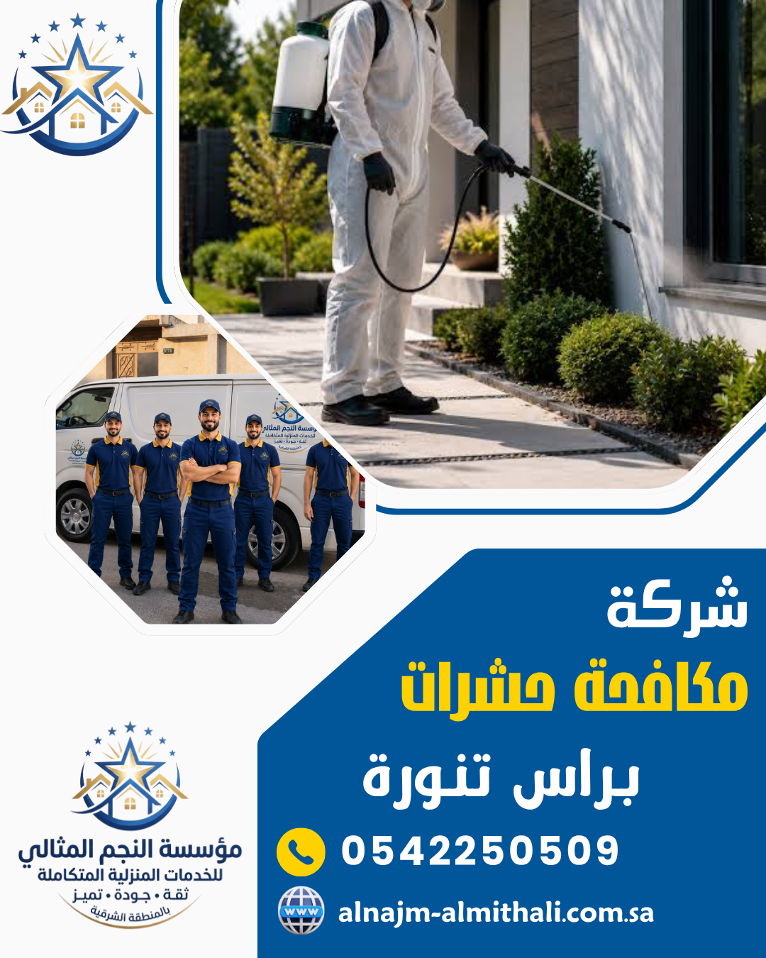 شركة مكافحة حشرات براس تنورة