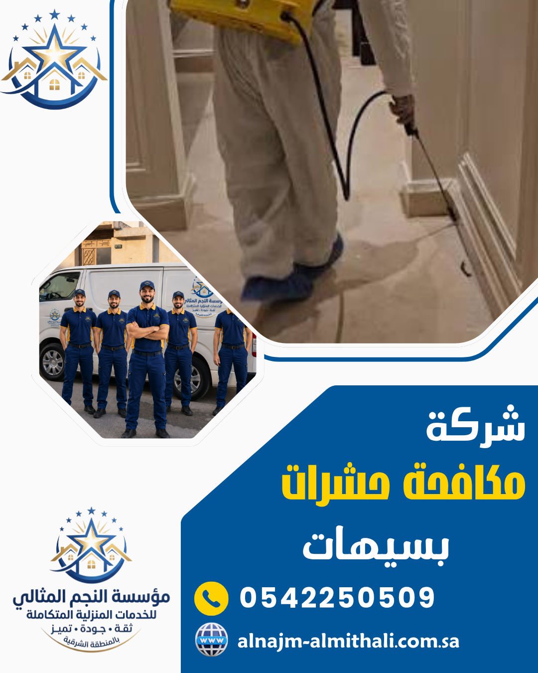 شركة مكافحة حشرات بسيهات
