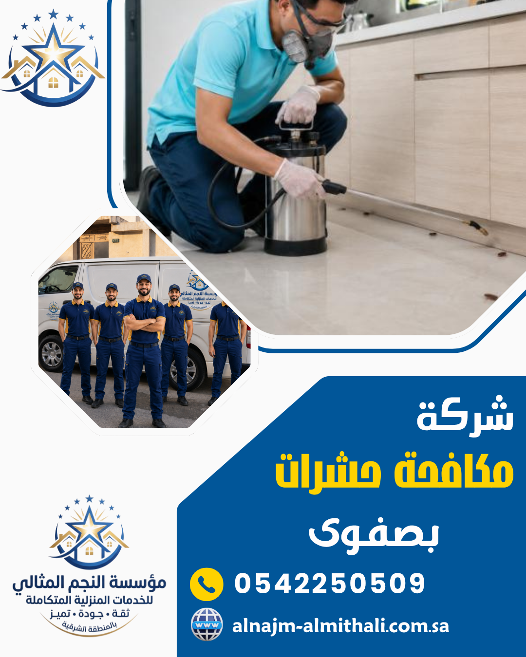 شركة مكافحة حشرات بصفوى